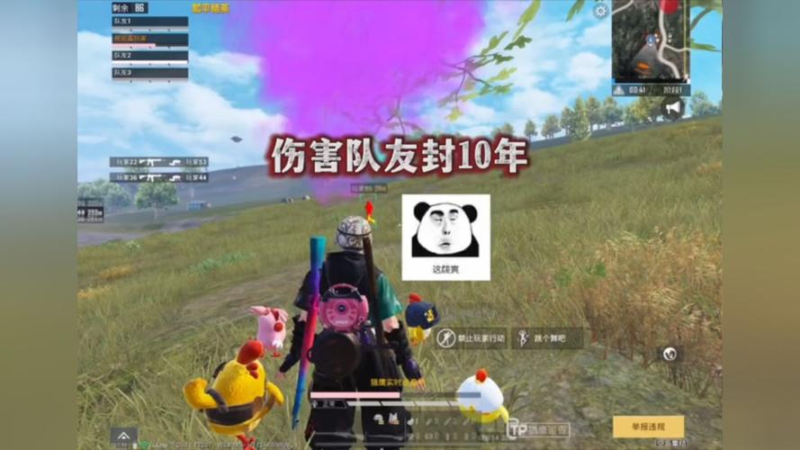和平精英辅助【COCO】
