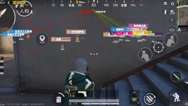 和平精英《向日葵》外挂